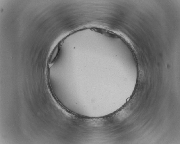 X0000067920902200605112005