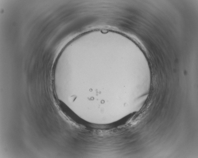 X0000067920903200605112005