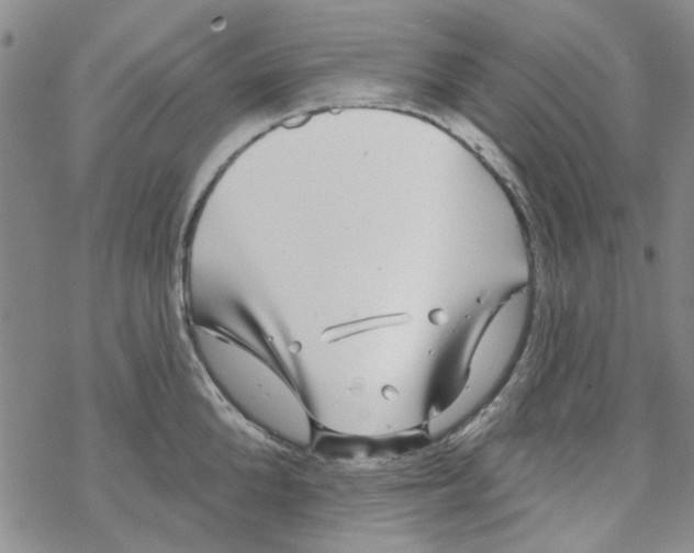 X0000067920904200605112005