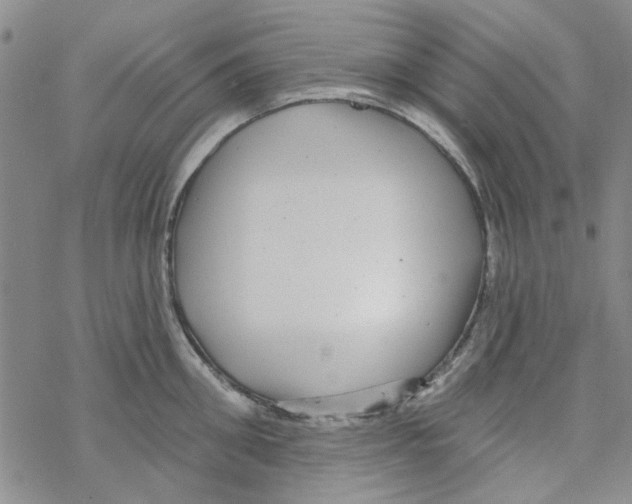 X0000067920906200605112005