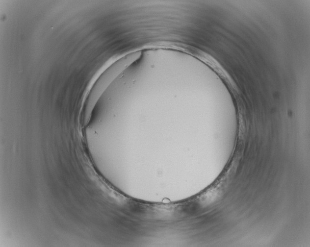 X0000067920908200605112005