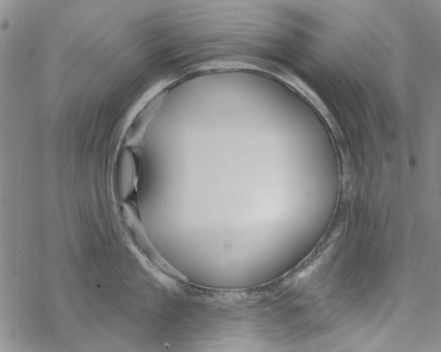 X0000067920909200605112005