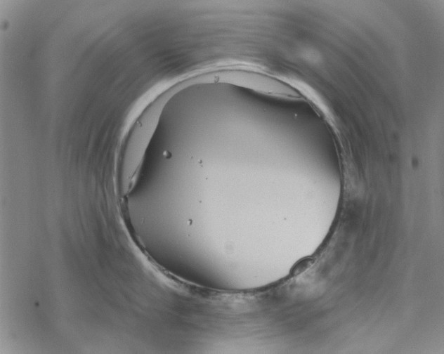 X0000067920910200605112005