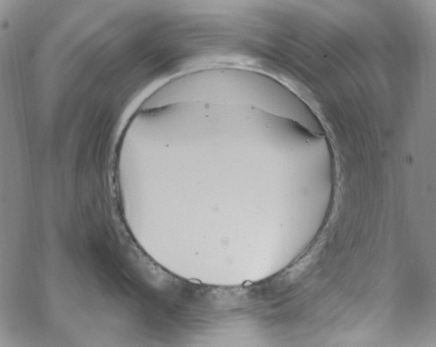 X0000067920912200605112005