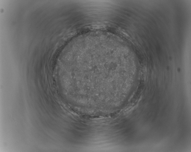 X0000067920913200605112004