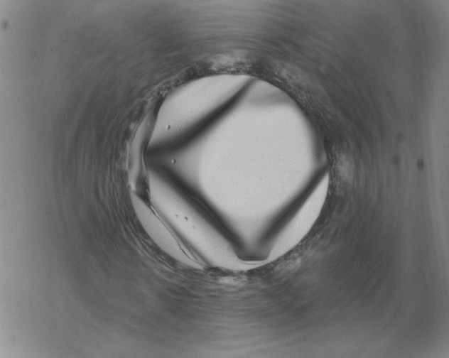 X0000067920914200605112004