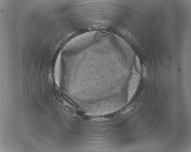 X0000067920915200605112004