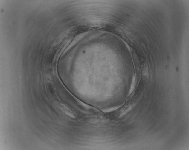 X0000067920916200605112004