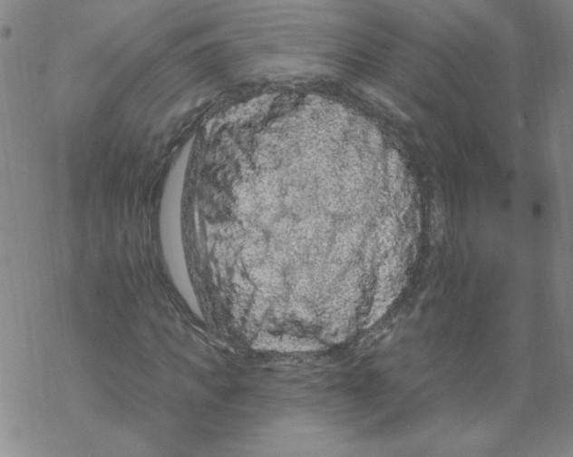 X0000067920917200605112004