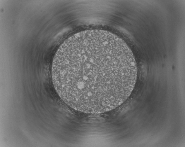 X0000067920918200605112004