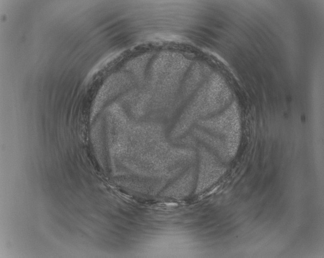 X0000067920919200605112004