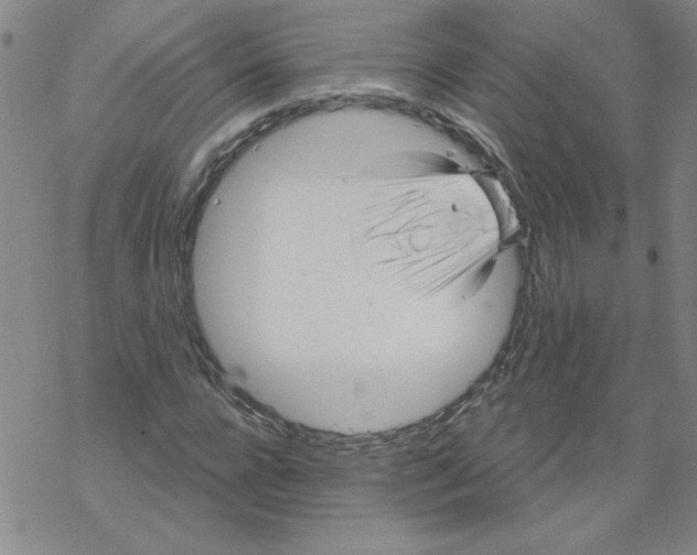 X0000067920920200605112004