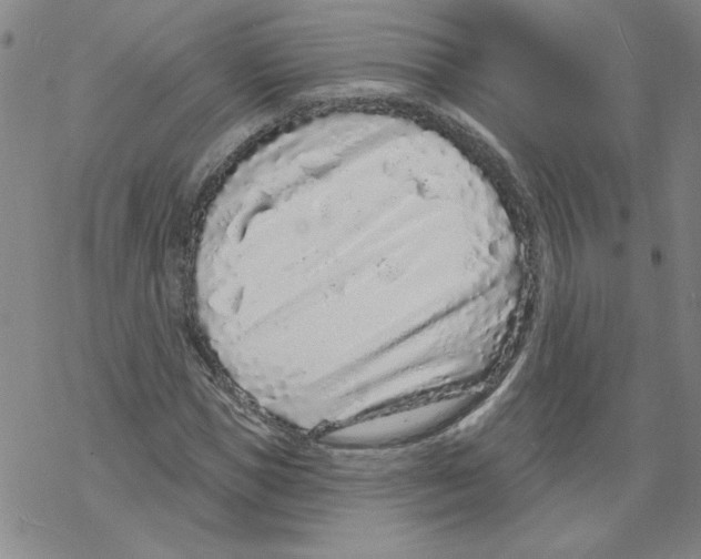 X0000067920921200605112004