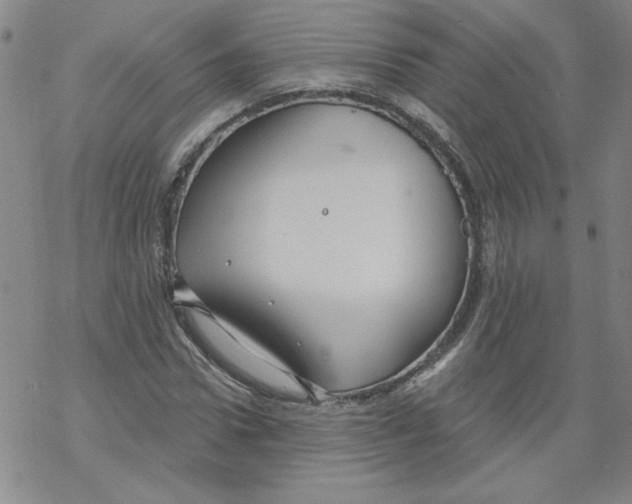 X0000067920922200605112004