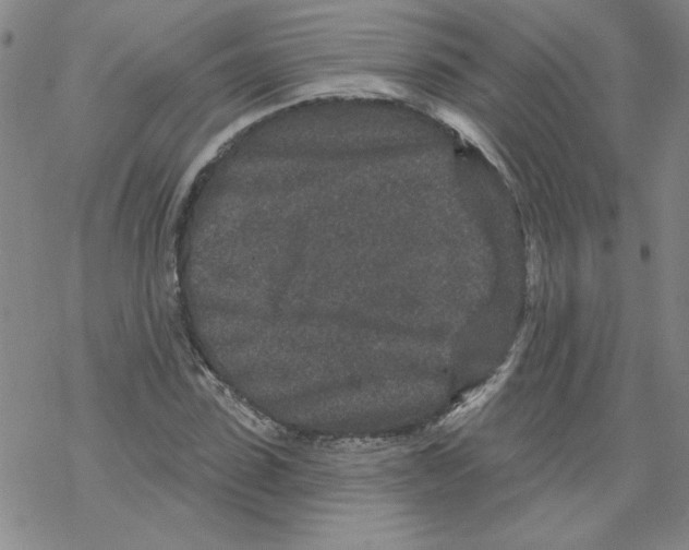 X0000067920923200605112004