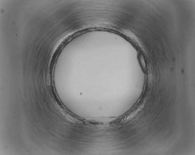 X0000067920924200605112004