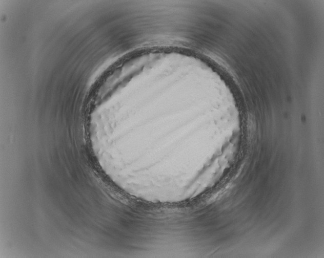 X0000067920925200605112004