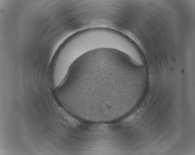 X0000067920926200605112004