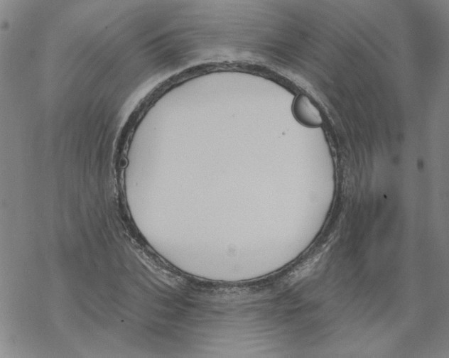 X0000067920927200605112004