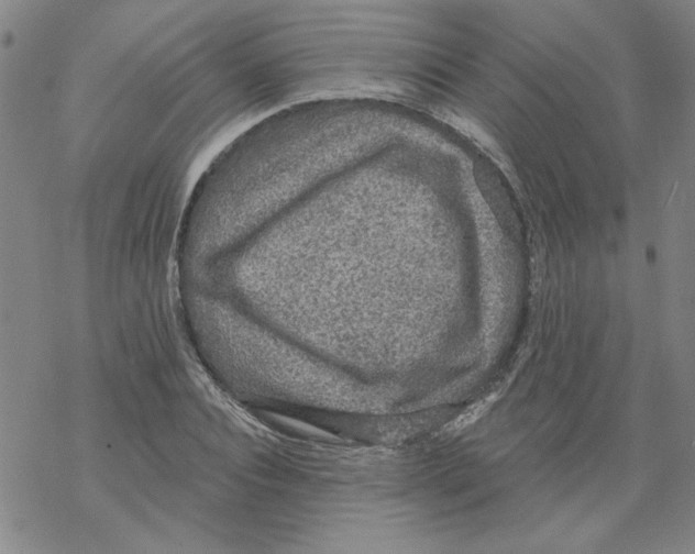 X0000067920928200605112004