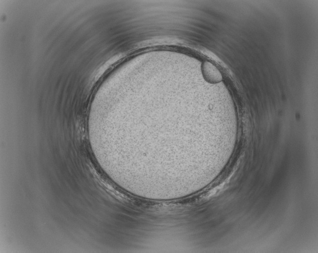 X0000067920929200605112004