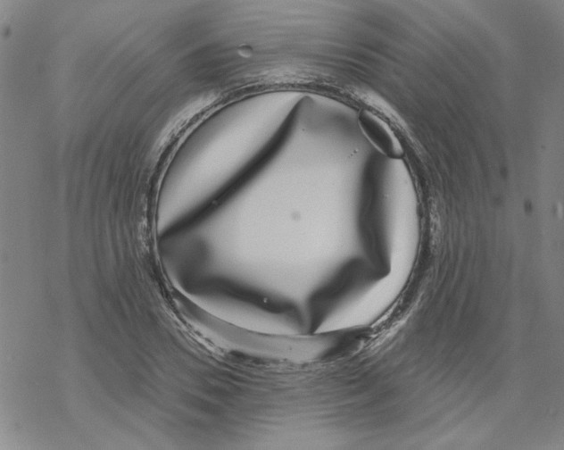 X0000067920930200605112004