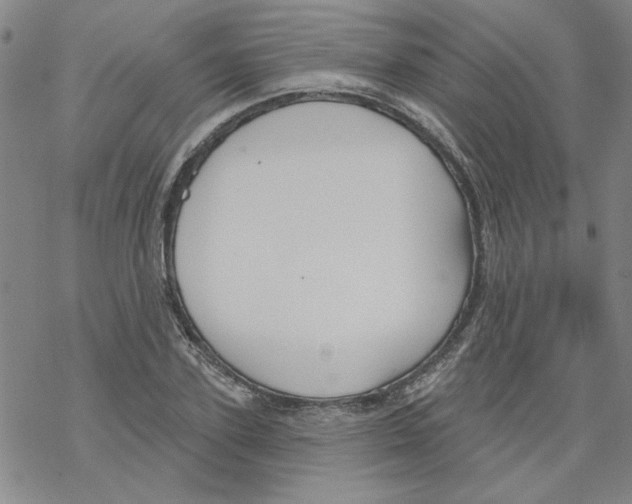 X0000067920931200605112004