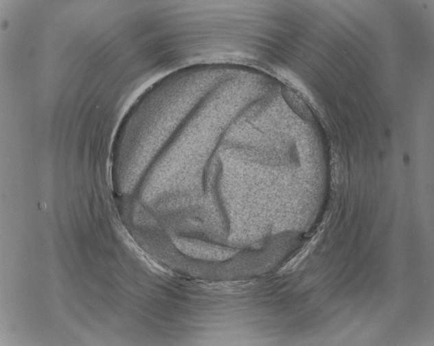 X0000067920932200605112004