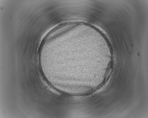 X0000067920933200605112004