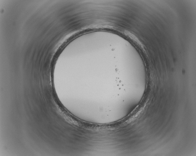 X0000067920934200605112005