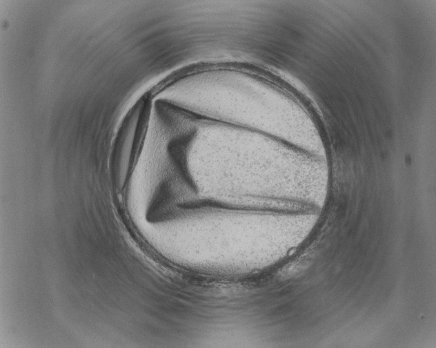 X0000067920935200605112005