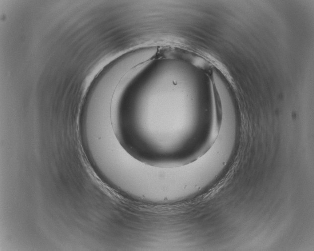 X0000067920936200605112005