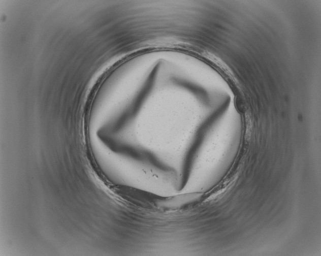 X0000067920939200605112005