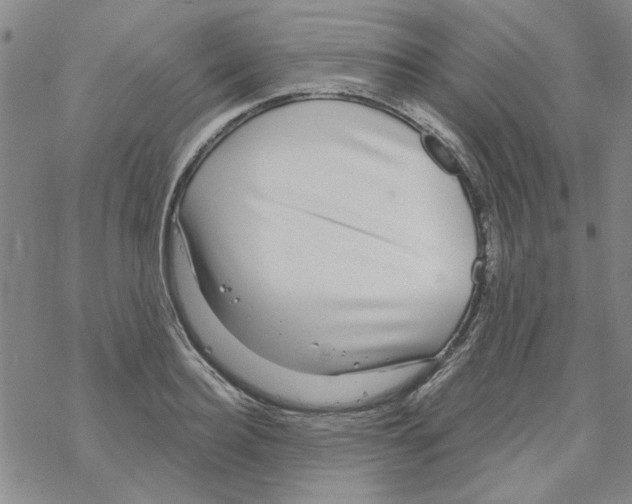 X0000067920940200605112005