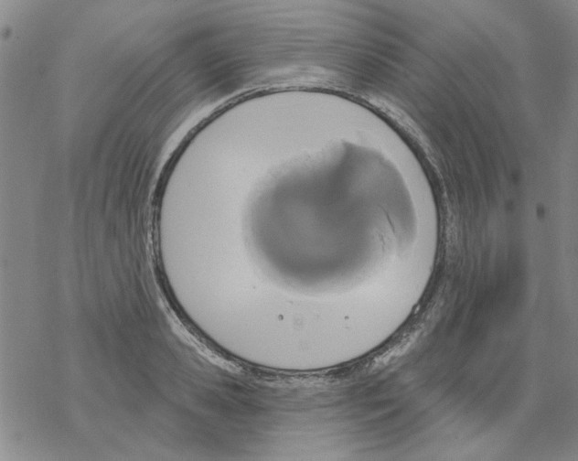 X0000067920941200605112005