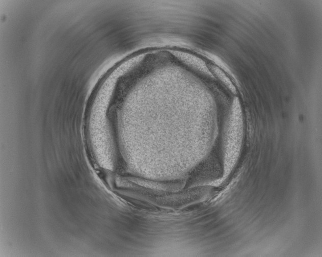 X0000067920943200605112005