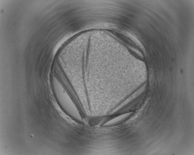 X0000067920944200605112005