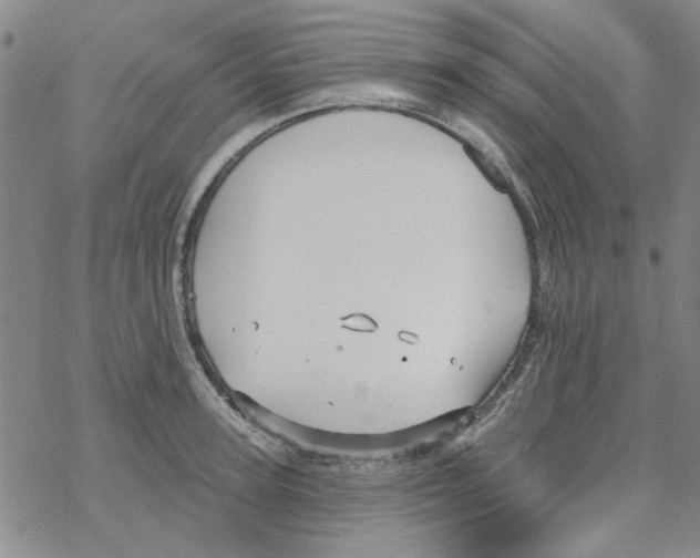 X0000067920947200605112005