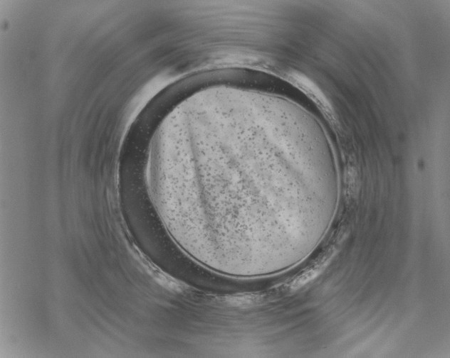 X0000067920948200605112005