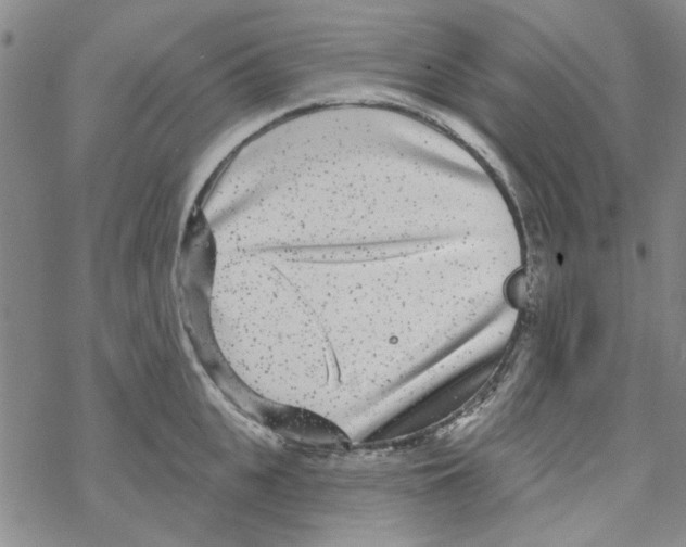 X0000067920951200605112005