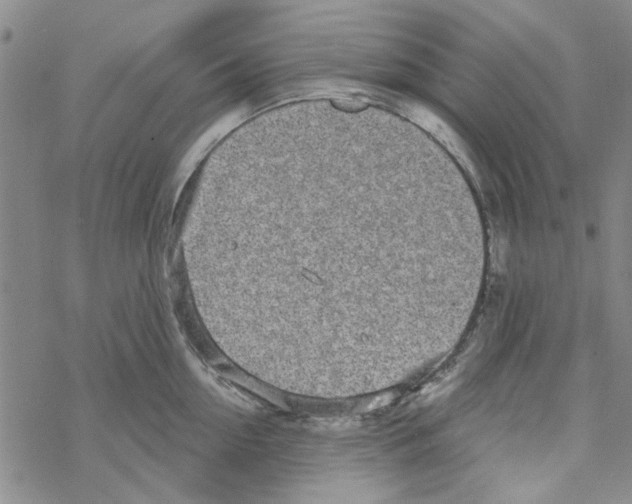 X0000067920954200605112005