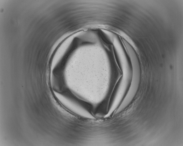 X0000067920955200605112005