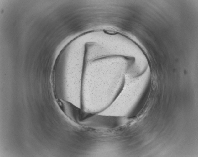 X0000067920959200605112005