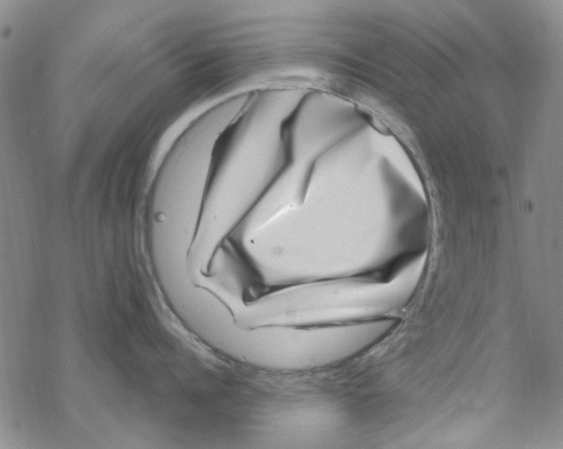 X0000067920960200605112005