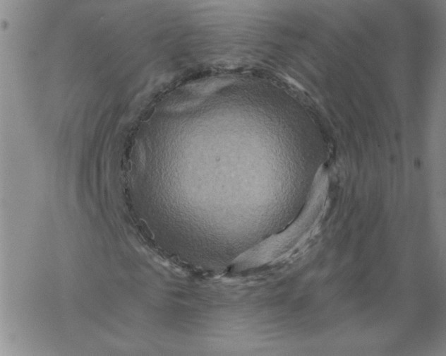 X0000067920961200605112004