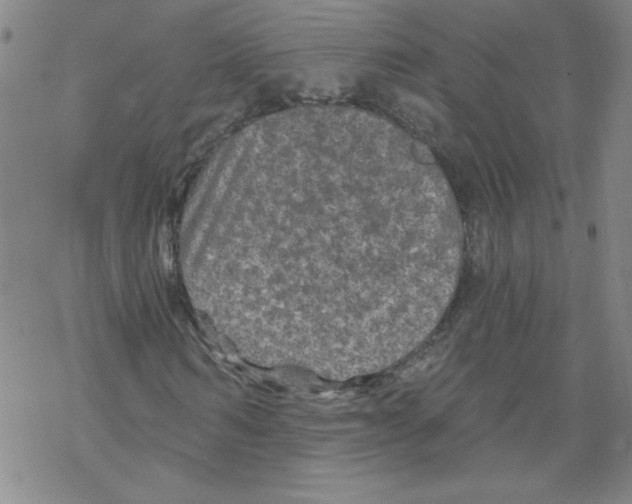 X0000067920962200605112004