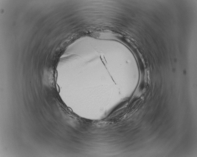 X0000067920963200605112004