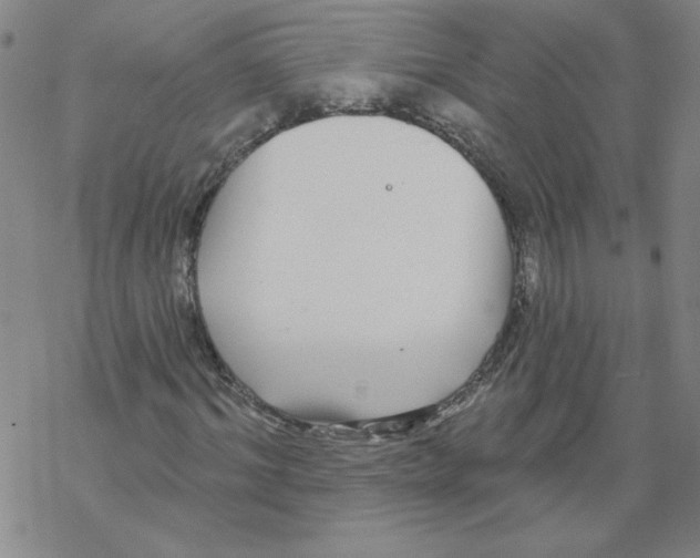 X0000067920964200605112004