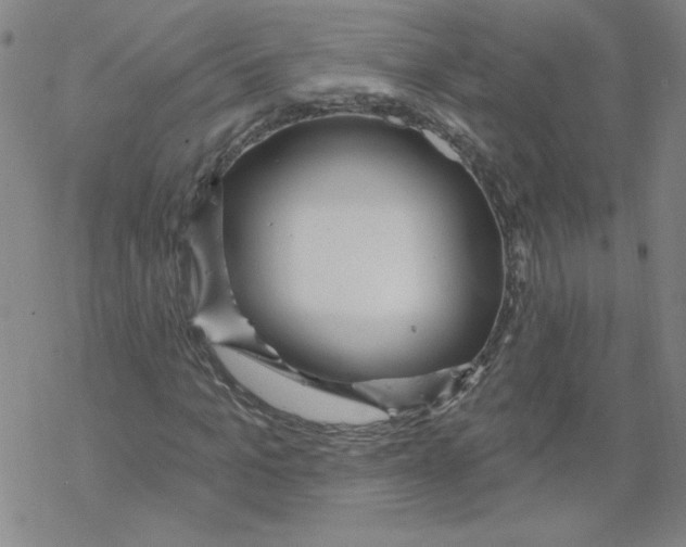 X0000067920965200605112004