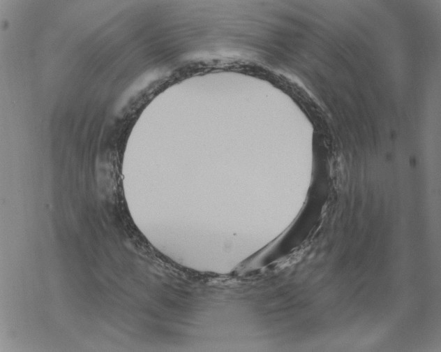 X0000067920967200605112004